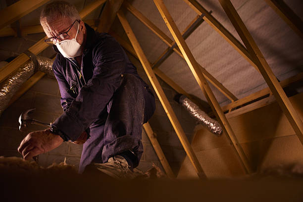 Best Cellulose Insulation in Clinton, PA